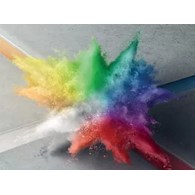 CERESIT PIGMENT ZIELONY 01 1L           P 