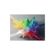 CERESIT PIGMENT BIAŁY 01 5L                D 
